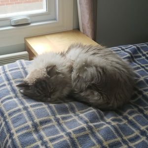 Meet your Posher, Jason